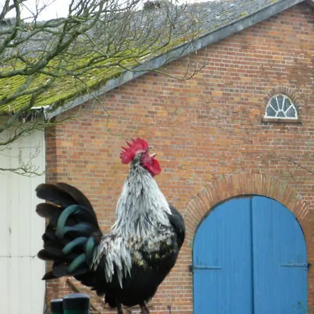 Apartman Farm Beschendorf